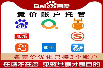 解析SEM推广代运营公司的成功案例及效果